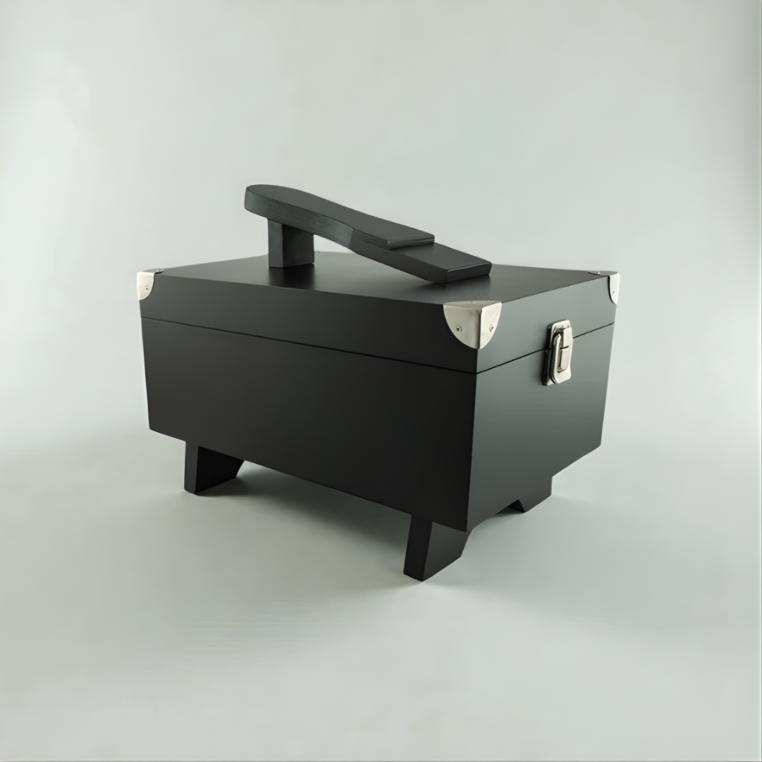 Lúxus skópússkassi